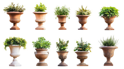 Ten ornamental plant pots with transparent background enhancing design flexibility