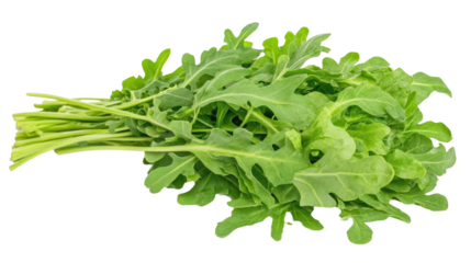 A bunch of bright green arugula leaves is neatly arranged, showcasing the vibrant color and unique shape of the leaves, perfect for salads or garnishing dishes