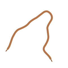 Hand drawn shoelace illustration 
