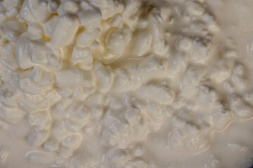 cottage cheese made from lumps with cream close-up
