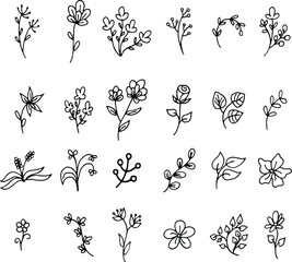 flower,  funny, garden, icon, illustration, insect, romantic, set, .various, vector.