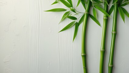 Obraz premium Green bamboo stalks on a white wooden surface, viewed from above. Room for text.