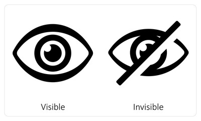 Visible and Invisible