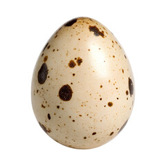 speckled egg with smooth surface, showcasing unique pattern and natural beauty