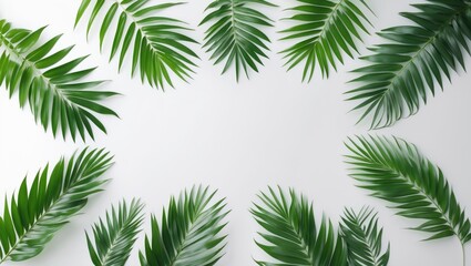 Fototapeta premium green palm leaf branches on white background. flat lay, aerial view