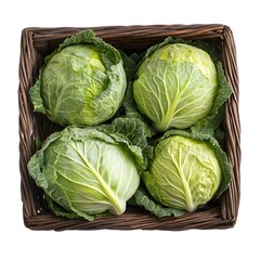 Fototapeta premium Freshly Harvested Green Cabbages Neatly Arranged in a Wicker Basket on a White Background
