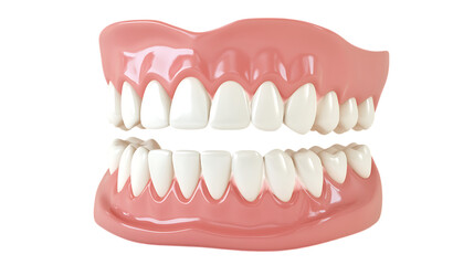 Fototapeta premium White shiny dental teeth jaw mouth model PNG Image