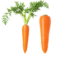 Fresh Carrots - Whole with Leaves and Trimmed Root on transparent background.