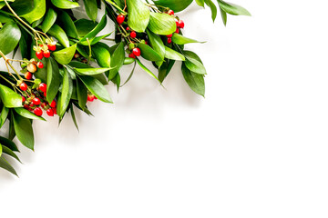 Background for blog with green plant and berries frame on white background top view space for text