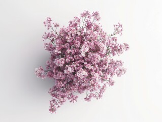 Obraz premium Highquality ultrarealistic photo of pink cherry blossoms bouquet on white background top view clear details commercial
