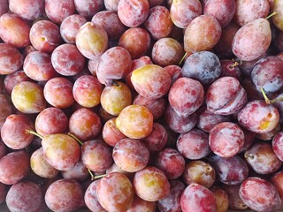 Fresh Sugar Plums