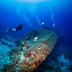A mesmerizing underwater view of Chuuk Lagoon&rsquo;s World War II shipwrecks, covered in coral and marine life.