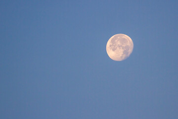 moon in the blue sky at sunrise in the morning.