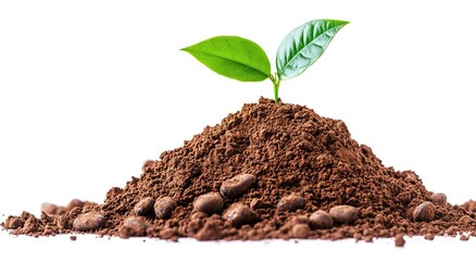 Pile of soil, a heap of earth, cocoa powder isolated on a white background 