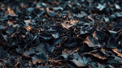 Burnt paper texture used as a background. Background of paper ashes. Cinder viewed from above.