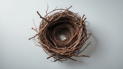 Empty bird nest, set against a white background.