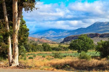 Red hills beneath the Swartberg mountains.