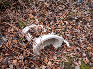 A discarded and partially buried toilet among dry leaves and branches, symbolizing environmental neglect, waste and abandonment.