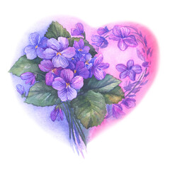 Beautiful spring bouquet with blooming purple violet (fragrant violet, English violet) on the background of a pink heart. Watercolor hand-drawn illustration