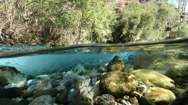split shot hal underwater half surface of a river flowing in nature 