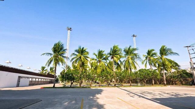 Palm Trees Swaying at Krating Lai Beach, Chonburi