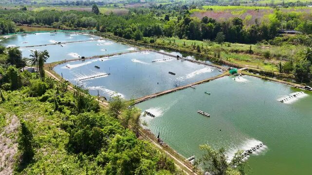 Aerial View of Phang Nga Aquaculture