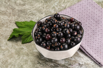 Ripe black currant in the bowl