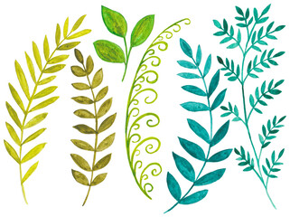 Hand drawn watercolor green branches. Spring watercolor.