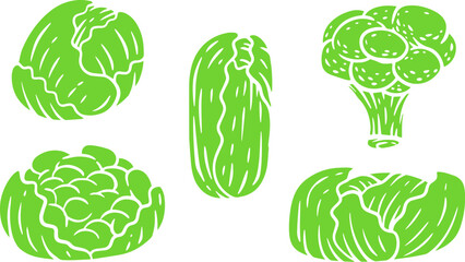 Vector illustration of cabbage in cartoon flat style different shapes. Set of fresh vegetables plants for healthy food. Collection design elements for child textile print, stamp, kids education book.