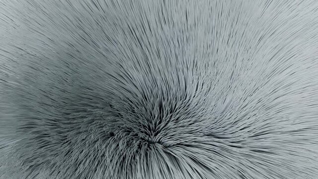 moving white hair background. 3d animation of close-up hair. white fur background. white hair abstract background