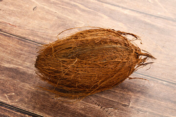 Natural exotic brown hairy coconut