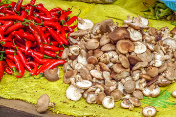 Red chili peppers and mushrooms