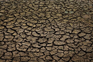 Cracked dry earth texture due to drought.