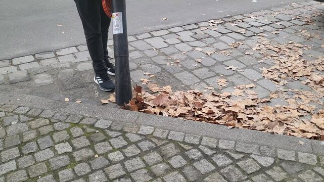 A Man Vacuums Leaves On The Road, Tilt Shift Lens