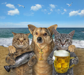 Dog hugs two cats on seashore