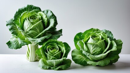 Obraz premium creation of mustard greens forming shapes like roses