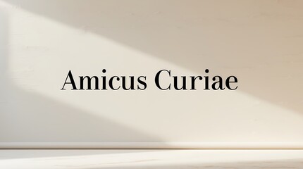 Amicus Curiae text displayed against a simple wall setting with natural light