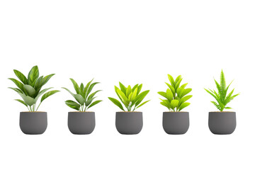 Obraz premium row of five potted plants with vibrant green leaves in gray pots, isolated on transparency background. arrangement showcases different types of foliage, creating fresh and natural aesthetic