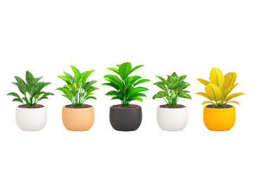 Fototapeta premium row of five vibrant potted plants in various colored pots, showcasing different shades of green and yellow leaves, arranged against transparency background