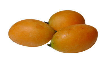 solated Fresh ripe Marian plums Maprang Bouea macrophylla on transparency background