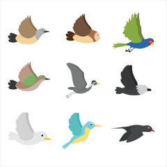 vector drawing set flying birds
