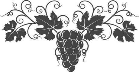 Grapes vine decorative pattern