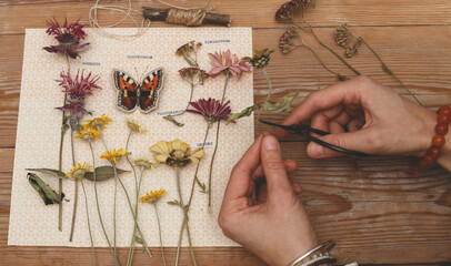Girl making herbarium. Dried herbs and dried flowers for making herbarium. Charming dried flowers (monarda, chrysanthemums, yarrow) with embroidered butterfly, labeled in Russian.