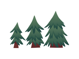 Fir trees vector flat illustrations set, cartoon spruce evergreen forest plant different sizes, ages, coniferous forest