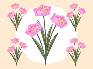 Fringed Dianthus Concept Illustration Stylish and Beautiful