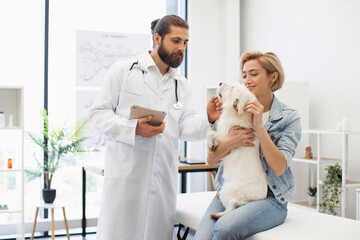 Veterinarian conducting routine checkup shows professional care. Female owner holding dog loving...