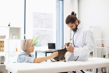 Obraz premium Male veterinarian using stethoscope to check health of tabby cat, female owner assisting, in modern clinic. Image showcasing healthcare, animals, compassion, and care.