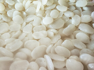 Sugar palm fruit or kolang kaling 