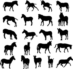 zebras in different angles set, silhouette vector collection on white background