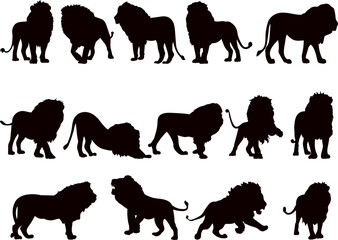 lions in different angles set, silhouette vector collection on white background
